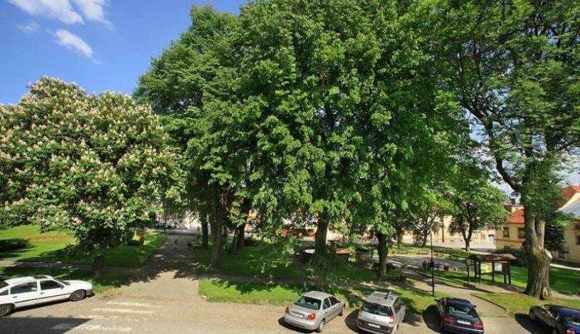 Pension ADAM Horní Planá